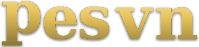 pes vn logo